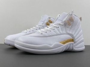 Air Jordan 12 Phantom FD9101-007